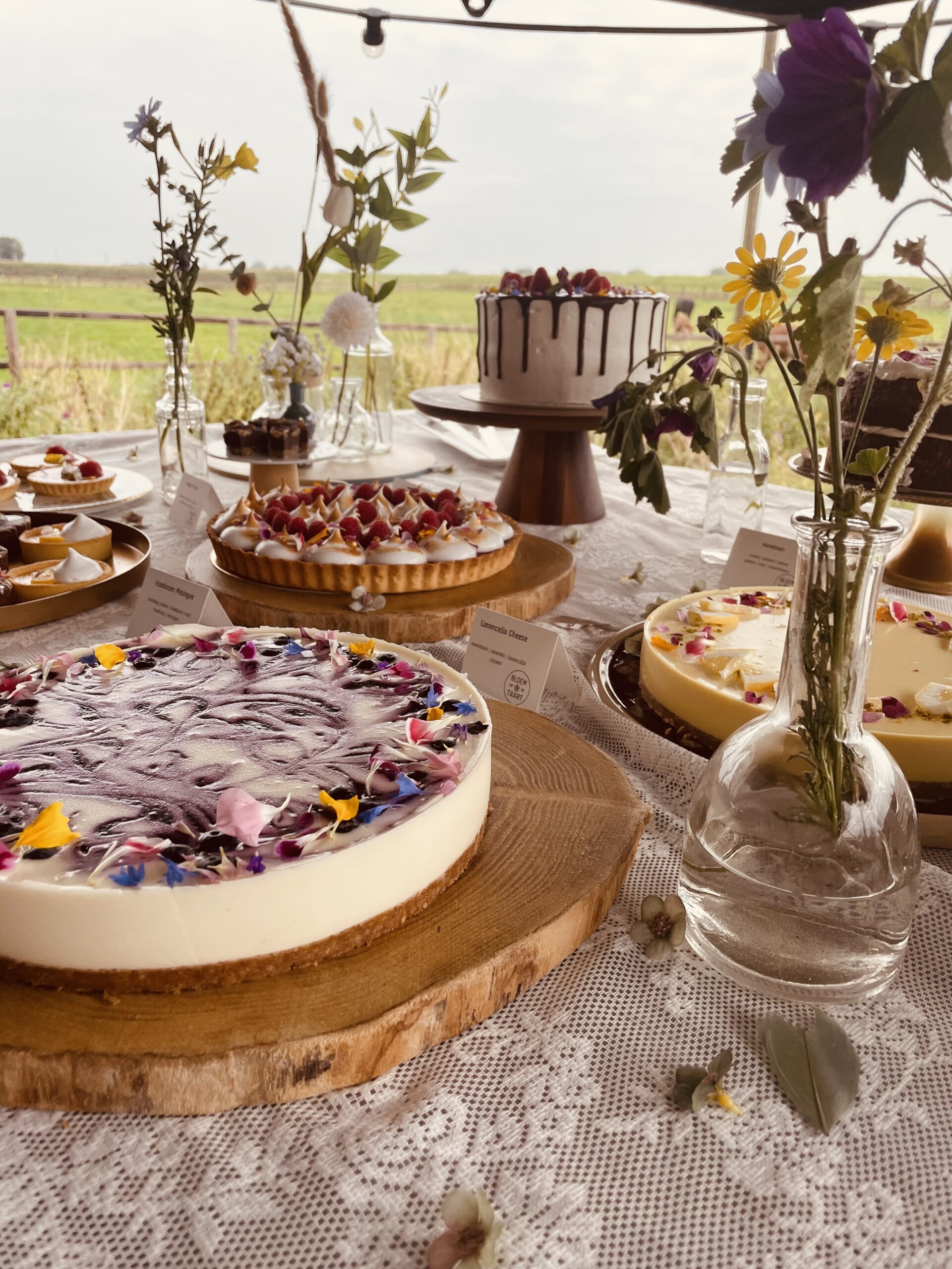 Geniet van koffie en gebak tijdens uw Congres